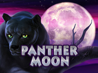 Panhter Moon